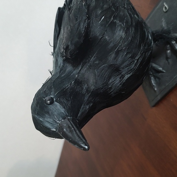 Black Raven Crow Sculpture Real Feathers Bird Halloween Decor Movie Set Prop - Picture 3 of 14